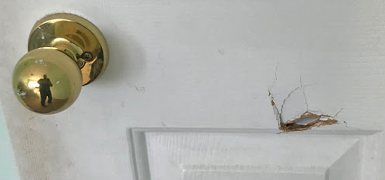 interior door hole repair Rodeo