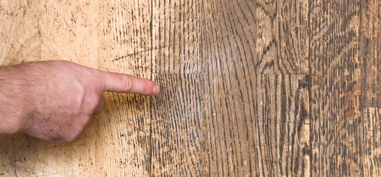 Wood Door Scratch Repair in Rodeo